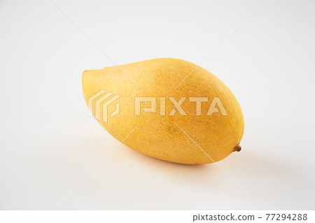 在白色背景上的芒果 在白色背景上的芒果 77294288
