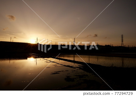 水田の夕日 77294729