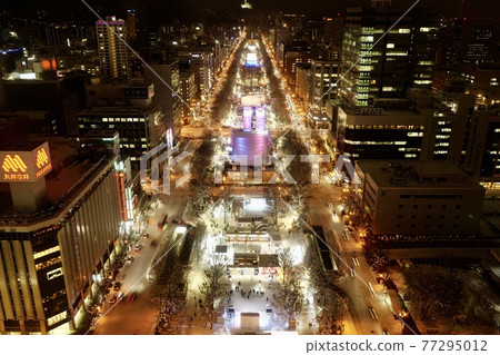 札幌冰雪節大通公園 札幌冰雪節大通公園 77295012