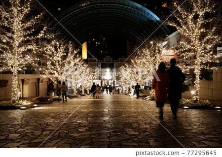 Illumination of Yebisu Garden Place Illumination of Yebisu Garden Place 77295645