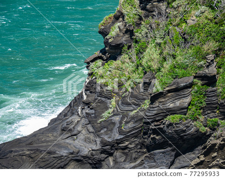 Scenery of Cape Taibusa, Chiba Prefecture in early summer Masuma Island May Scenery of Cape Taibusa, Chiba Prefecture in early summer Masuma Island May 77295933