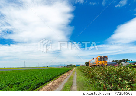 【青森縣津輕地區】日本最北端的私人鐵路津輕鐵路貫穿津輕的稻田 【青森縣津輕地區】日本最北端的私人鐵路津輕鐵路貫穿津輕的稻田 77296565