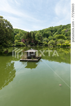 Yakushi Pond Yakushi Pond 77296603