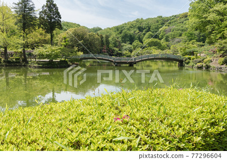 Yakushi Ike Tyco Bridge Yakushi Ike Tyco Bridge 77296604