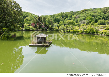 Yakushi Pond Yakushi Pond 77296605