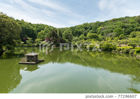 Yakushi Pond Yakushi Pond 77296607