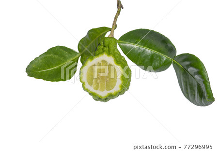 Bergamot fruit cut in half with leaves and stalks on white background, Cutting path. Bergamot fruit cut in half with leaves and stalks on white background, Cutting path. 77296995