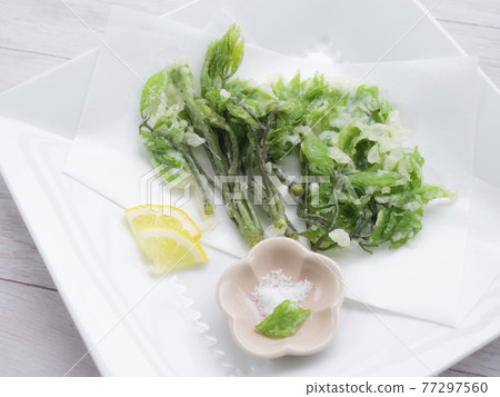 春季時令食材、白樹芽、cosia 文胸天婦羅 春季時令食材、白樹芽、cosia 文胸天婦羅 77297560