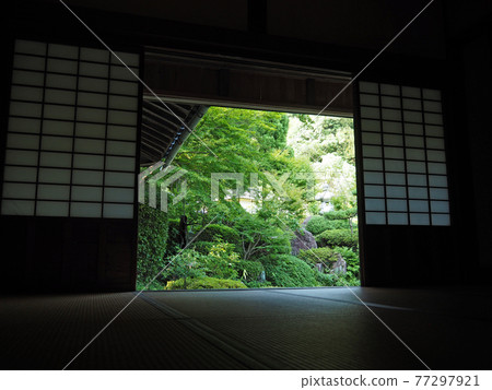 在山口縣防府市的索阿彌陀寺，從榻榻米房間通過屏風看到花園的綠色。 77297921