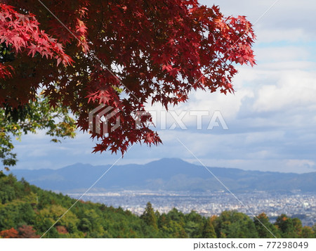 Autumn at Rakusai Kinzoji Temple in Kyoto Autumn at Rakusai Kinzoji Temple in Kyoto 77298049