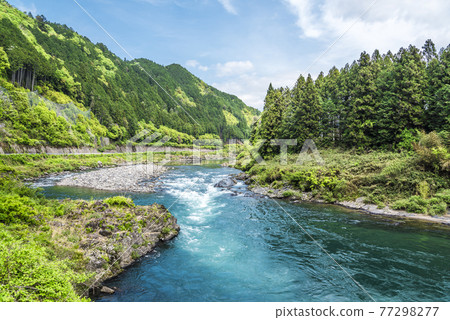 《Gifu Prefecture》 Gujo City Nagara River 《Gifu Prefecture》 Gujo City Nagara River 77298277