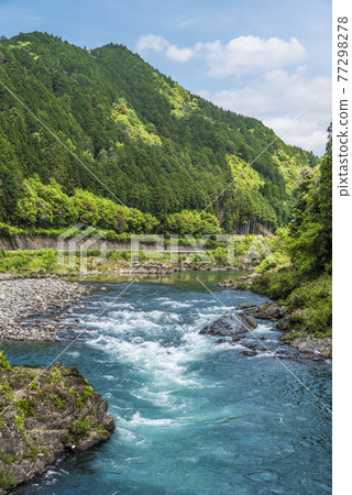 《Gifu Prefecture》 Gujo City Nagara River 77298278