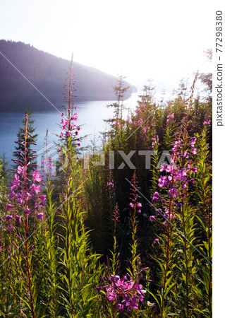 beautiful mountain landscape beautiful mountain landscape 77298380