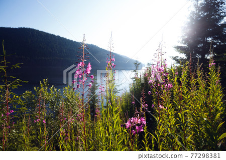 beautiful mountain landscape beautiful mountain landscape 77298381