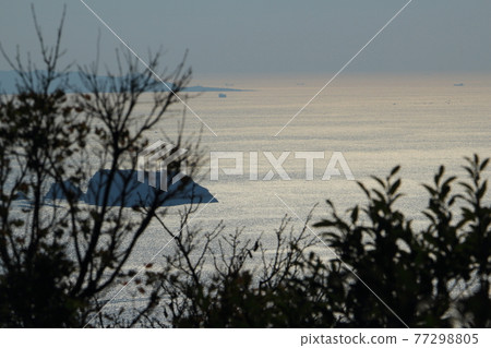 從千葉縣、能古里山和日本寺看到的大海 77298805