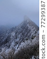 The white summit of Mt. Ishizuchi, a famous peak in Shikoku 77299387