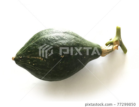 Pumpkin Loron Pumpkin Loron 77299850