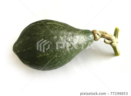 Pumpkin Loron Pumpkin Loron 77299853