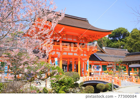日本京都府京都市北區上賀茂神社 77300084