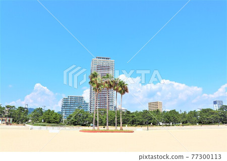 Suma coast / summer scenery Suma coast / summer scenery 77300113