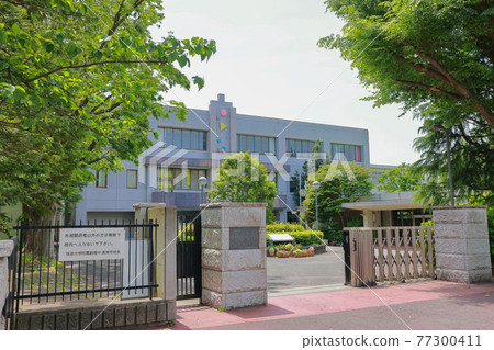 筑波大學附屬駒場中高中_龍 77300411