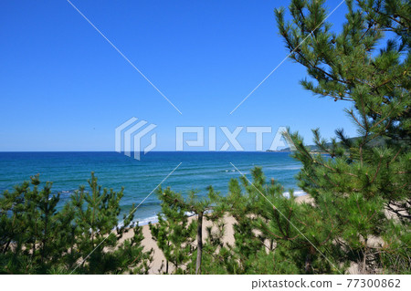 Kotohirama Kotohirama 77300862