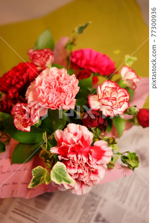 Mother's Day Carnation 77300936