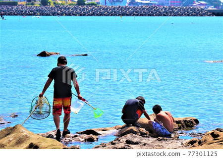 Kada coast summer scenery Kada coast summer scenery 77301125