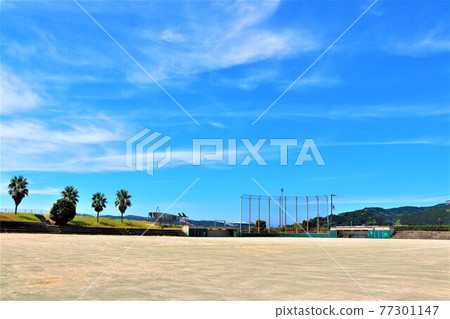 加田海岸夏日風光 77301147