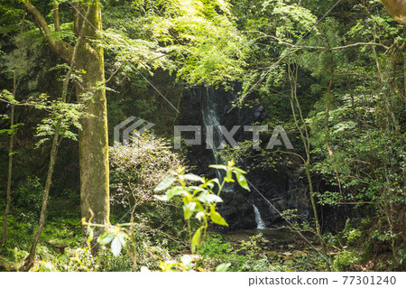Tamasudareno Falls, Hitachi City, Ibaraki Prefecture Tamasudareno Falls, Hitachi City, Ibaraki Prefecture 77301240
