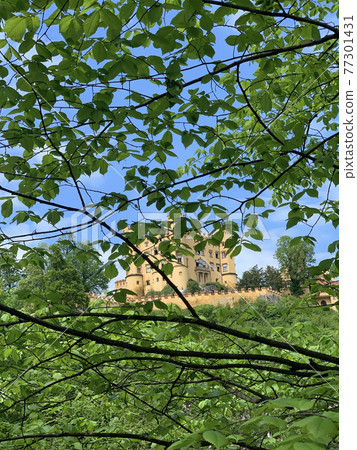 A castle with a strong presence nearby A castle with a strong presence nearby 77301431