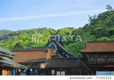 [島根縣]天氣晴朗的出雲大社 77302538