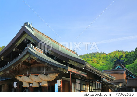 [島根縣] 晴天下的神樂殿、出雲大社 77302539