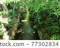Fresh green Tamagawa water supply near Takanodai 77302834