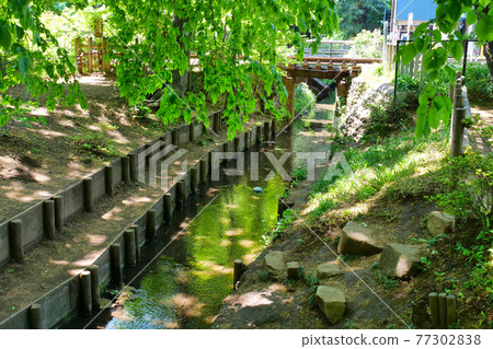 Fresh green Tamagawa water supply near Takanodai Fresh green Tamagawa water supply near Takanodai 77302838