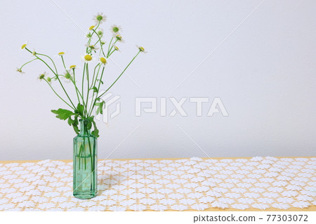 黃菊 黃菊 77303072