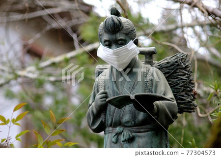 Plum forest 77304573