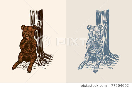 Grizzly little bear in vintage style. Wild animal. The kid of the beast sits at the tree and licks 77304602
