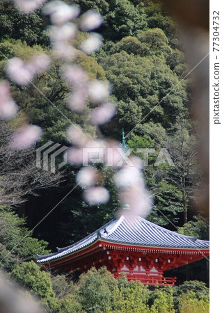 岐阜城堡 77304732