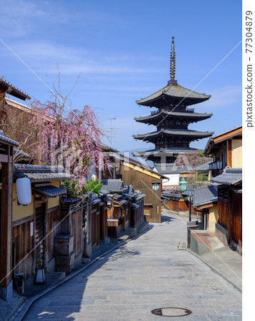 Weeping cherry blossoms and Yasaka tower in Sanningzaka, Kyoto 77304879