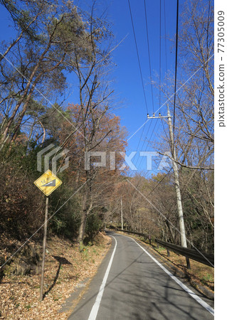 Hiking road of Mt Mikamo yama in Sano, Tochigi, Japan. December 18, 2020. Hiking road of Mt Mikamo yama in Sano, Tochigi, Japan. December 18, 2020. 77305009