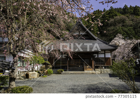 鳥取縣矢津郡知頭町知頭宿廣泉寺 鳥取縣矢津郡知頭町知頭宿廣泉寺 77305115