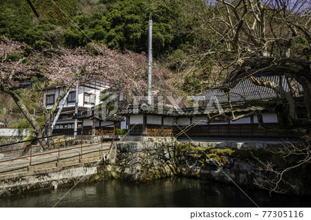 鳥取縣矢津郡知頭町知頭宿廣泉寺 鳥取縣矢津郡知頭町知頭宿廣泉寺 77305116