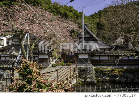 鳥取縣矢津郡知頭町知頭宿廣泉寺 鳥取縣矢津郡知頭町知頭宿廣泉寺 77305117