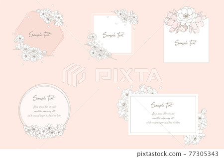 花朵 花 花卉 77305343