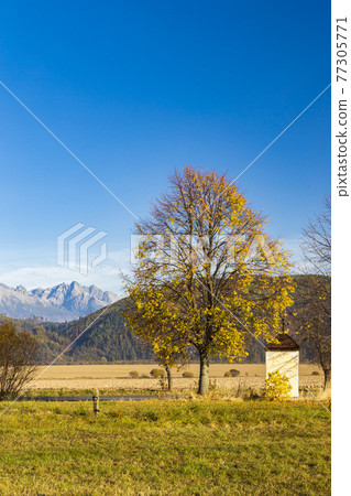 chapel with a tree in Low Tatras with background High Tatras, Slovakia 77305771