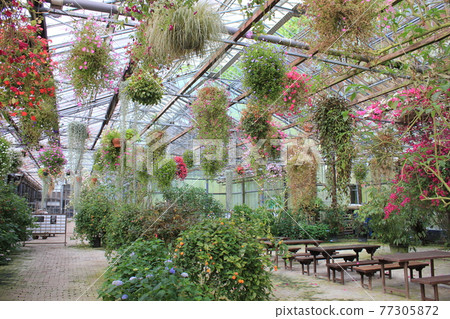 Kamosou Kachoen展覽溫室 Kamosou Kachoen展覽溫室 77305872