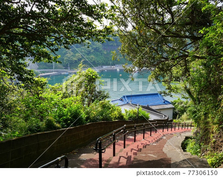 Oshima / Habuminato Oshima / Habuminato 77306150