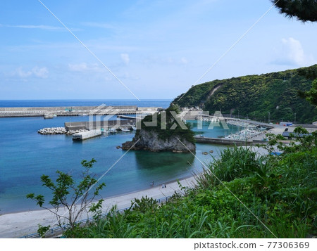 Kozushima / Takowan Kozushima / Takowan 77306369