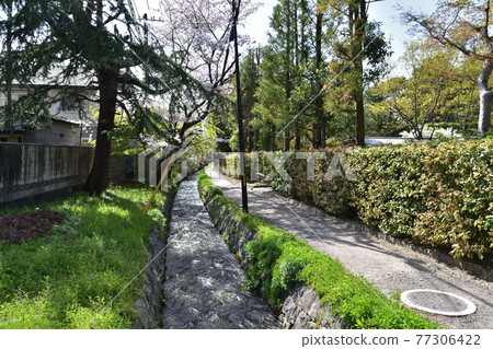 京都小木壩尾流和南禪寺附近別墅 京都小木壩尾流和南禪寺附近別墅 77306422